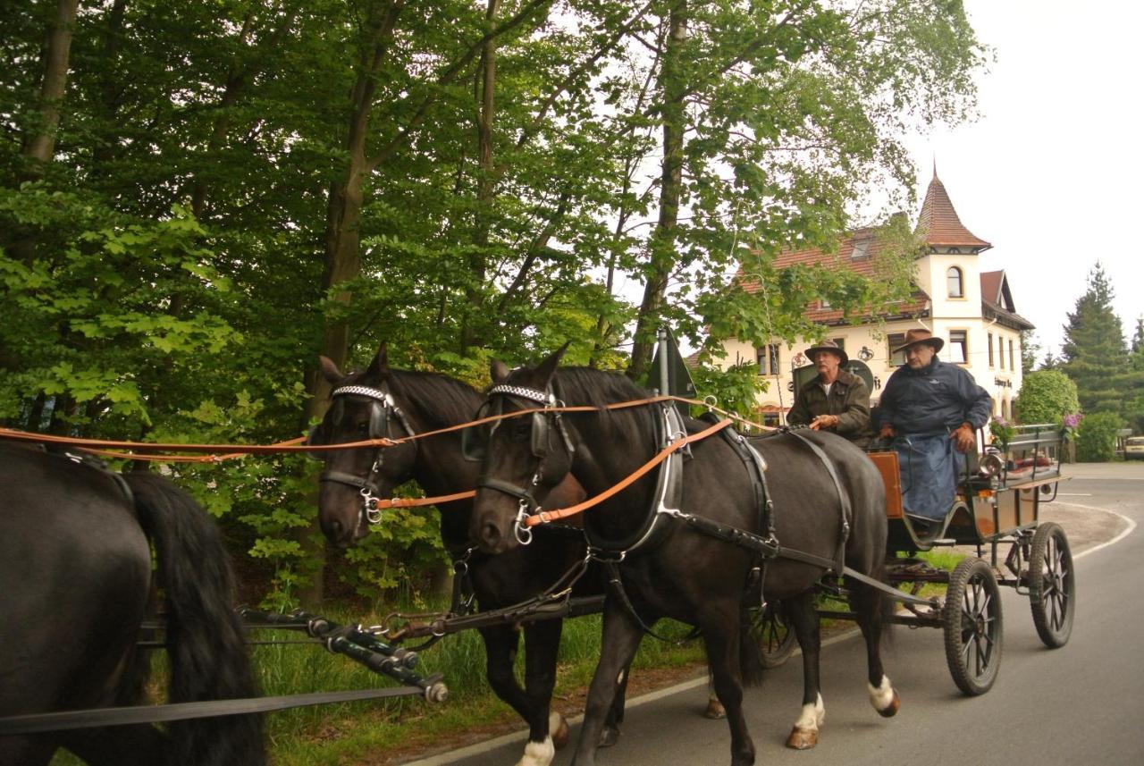 Hotel Schwarzes Ross Arnsdorf  Esterno foto